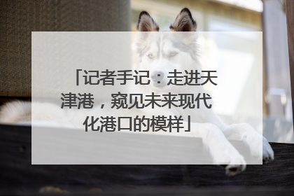 记者手记：走进天津港，窥见未来现代化港口的模样