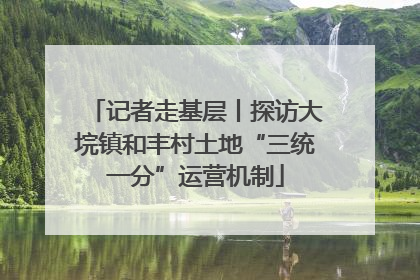 记者走基层丨探访大垸镇和丰村土地“三统一分”运营机制
