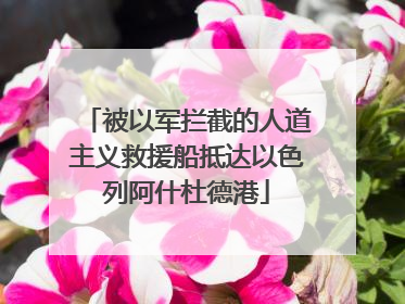 被以军拦截的人道主义救援船抵达以色列阿什杜德港