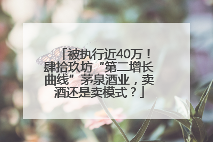 被执行近40万！肆拾玖坊“第二增长曲线”茅泉酒业，卖酒还是卖模式？