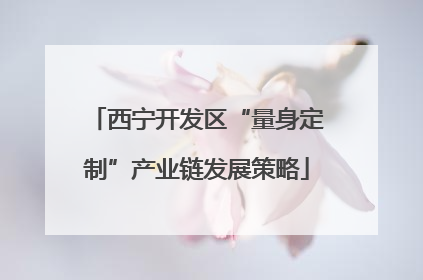西宁开发区“量身定制”产业链发展策略