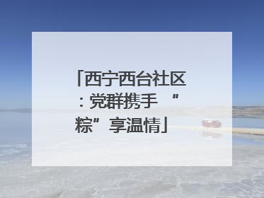 西宁西台社区：党群携手 “粽”享温情