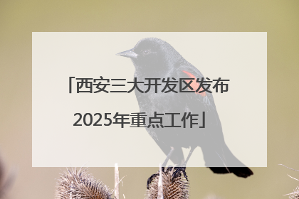 西安三大开发区发布2025年重点工作