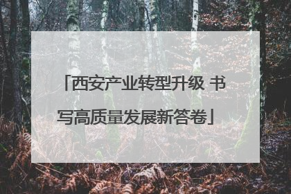 西安产业转型升级 书写高质量发展新答卷