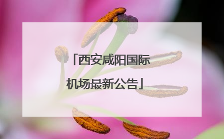西安咸阳国际机场最新公告