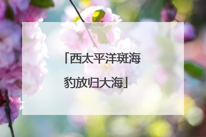 西太平洋斑海豹放归大海
