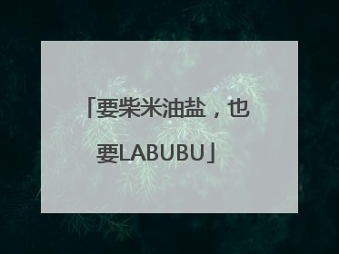 要柴米油盐，也要LABUBU
