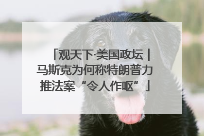 观天下·美国政坛｜马斯克为何称特朗普力推法案“令人作呕”