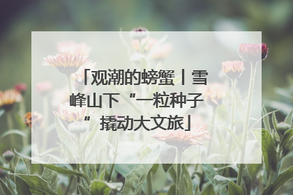 观潮的螃蟹丨雪峰山下“一粒种子”撬动大文旅