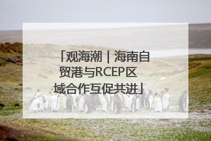 观海潮｜海南自贸港与RCEP区域合作互促共进