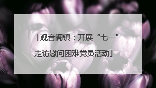 观音阁镇：开展“七一”走访慰问困难党员活动