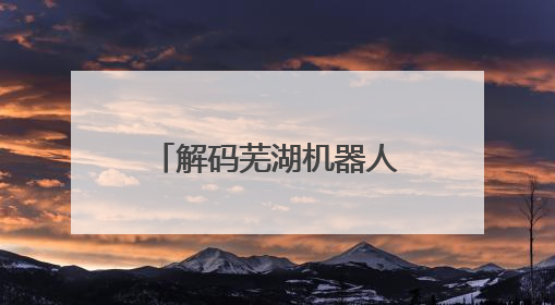 解码芜湖机器人产业跃居全国第七的“数智税钥”