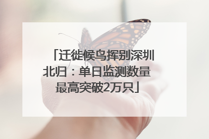 迁徙候鸟挥别深圳北归：单日监测数量最高突破2万只