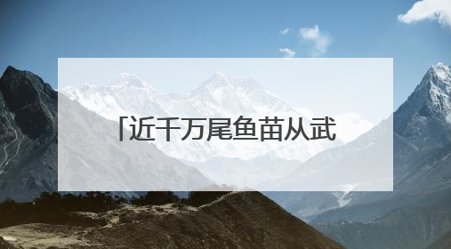 近千万尾鱼苗从武汉“游进”长江
