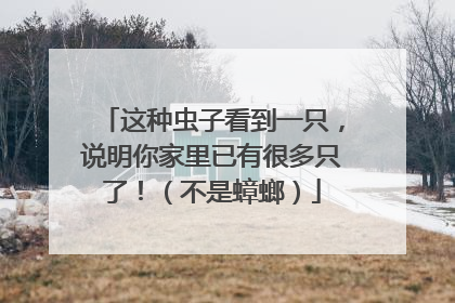这种虫子看到一只，说明你家里已有很多只了！（不是蟑螂）