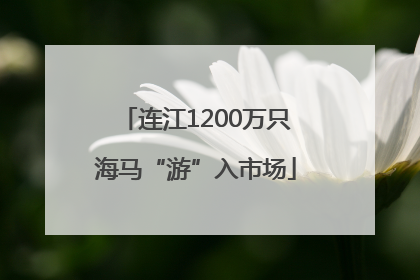 连江1200万只海马“游”入市场