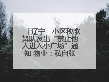 辽宁一小区秧歌舞队发出“禁止他人进入小广场”通知 物业：私自张贴，已撤掉