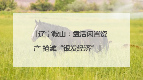 辽宁鞍山：盘活闲置资产 抢滩“银发经济”