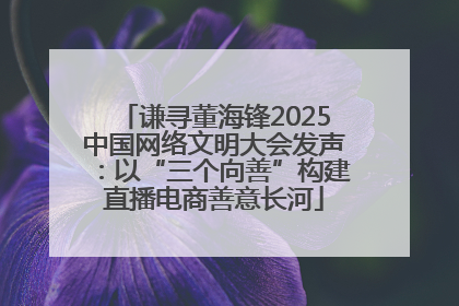 谦寻董海锋2025中国网络文明大会发声：以“三个向善”构建直播电商善意长河