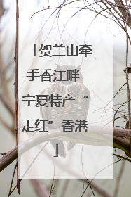 贺兰山牵手香江畔 宁夏特产“走红”香港