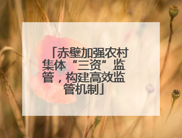 赤壁加强农村集体“三资”监管，构建高效监管机制