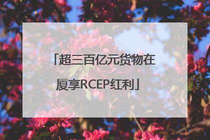 超三百亿元货物在厦享RCEP红利