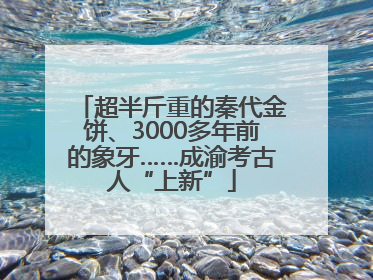 超半斤重的秦代金饼、3000多年前的象牙……成渝考古人“上新”