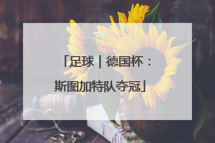 足球｜德国杯：斯图加特队夺冠