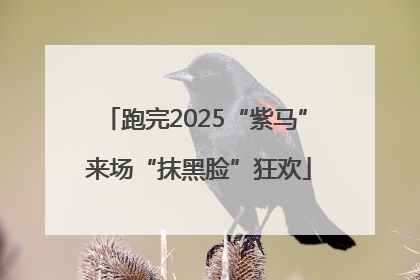 跑完2025“紫马” 来场“抹黑脸”狂欢