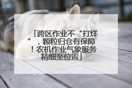 跨区作业不“打烊”，颗粒归仓有保障！农机作业气象服务精细至位置