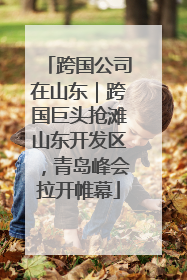 跨国公司在山东｜跨国巨头抢滩山东开发区，青岛峰会拉开帷幕