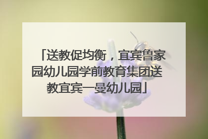 送教促均衡，宜宾鲁家园幼儿园学前教育集团送教宜宾一曼幼儿园