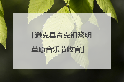 逊克县奇克镇黎明草原音乐节收官