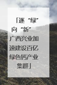 逐“绿”向“新” 广西兴业加速建设百亿绿色钙产业集群