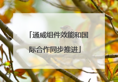 通威组件效能和国际合作同步推进