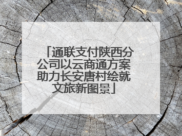 通联支付陕西分公司以云商通方案助力长安唐村绘就文旅新图景