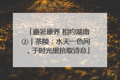 避暑康养 相约湖南②｜茶陵：水天一色间，于时光里拾取诗意