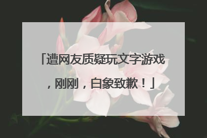 遭网友质疑玩文字游戏，刚刚，白象致歉！