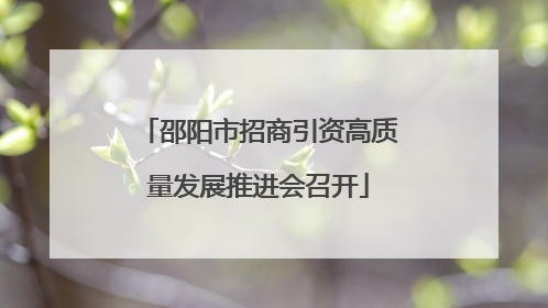 邵阳市招商引资高质量发展推进会召开