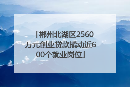 郴州北湖区2560万元创业贷款撬动近600个就业岗位