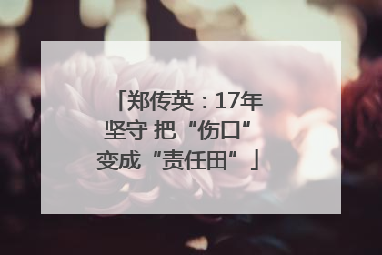 郑传英：17年坚守 把“伤口”变成“责任田”