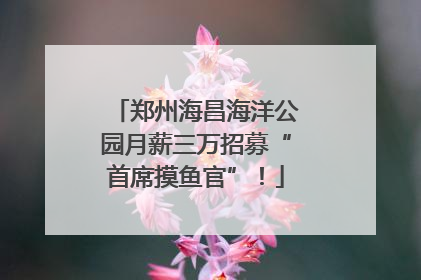 郑州海昌海洋公园月薪三万招募“首席摸鱼官”！