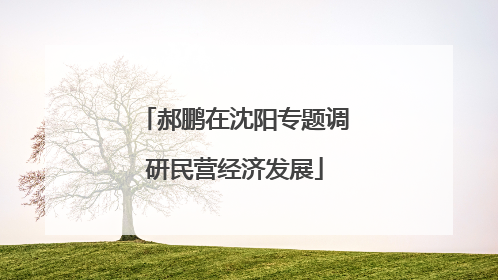 郝鹏在沈阳专题调研民营经济发展