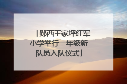 郧西王家坪红军小学举行一年级新队员入队仪式