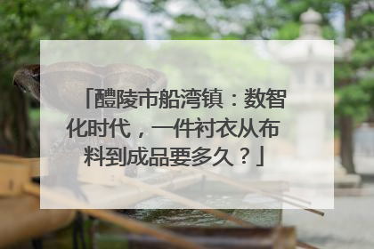 醴陵市船湾镇：数智化时代，一件衬衣从布料到成品要多久？