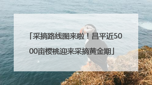 采摘路线图来啦！昌平近5000亩樱桃迎来采摘黄金期