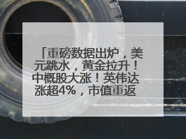 重磅数据出炉，美元跳水，黄金拉升！中概股大涨！英伟达涨超4%，市值重返全球第一！黄仁勋计划出售至多600万股股票