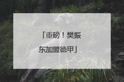 重磅！樊振东加盟德甲
