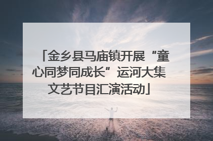 金乡县马庙镇开展“童心同梦同成长”运河大集文艺节目汇演活动