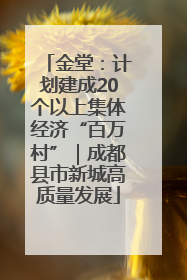 金堂：计划建成20个以上集体经济“百万村”｜成都县市新城高质量发展